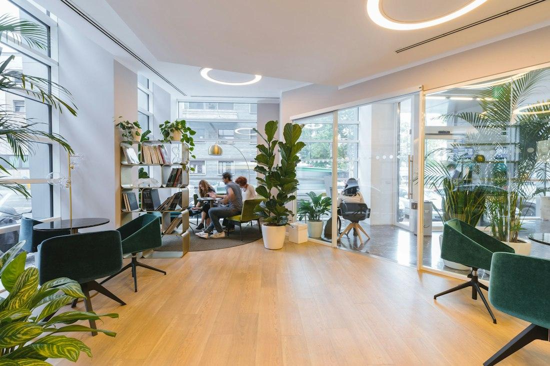 Oficina lluminosa amb plantes i sales de reunions